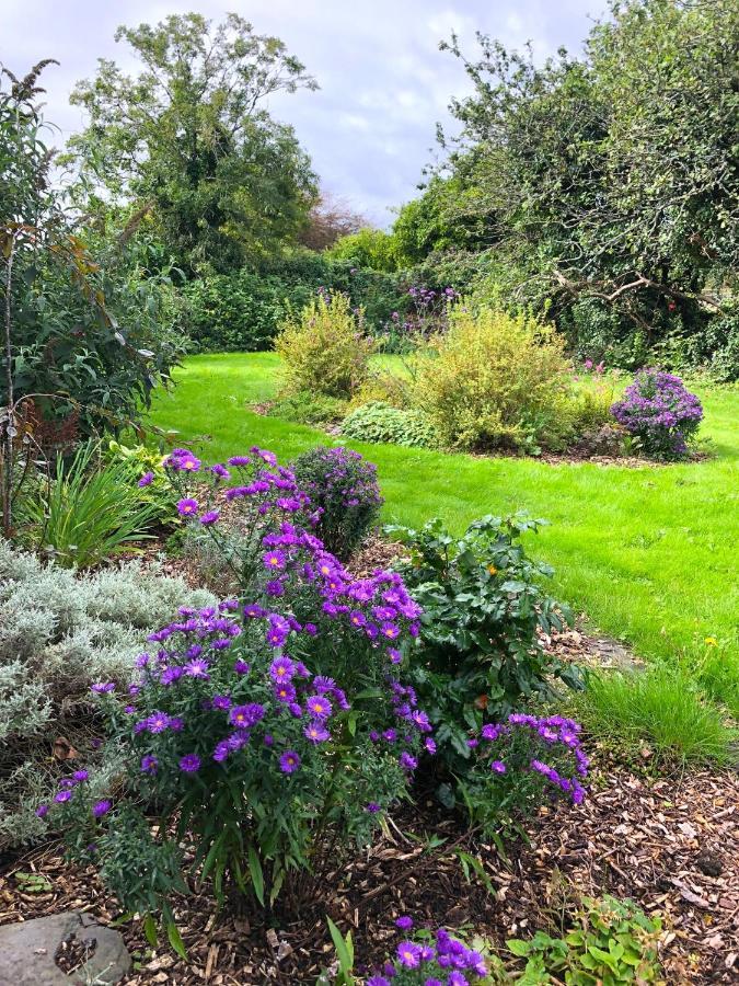 Dingle Garden Townhouse Bed & Breakfast ภายนอก รูปภาพ The gardens at the centre