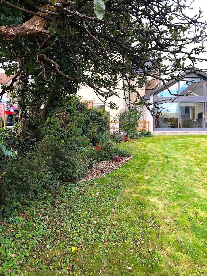 Dingle Garden Townhouse Bed & Breakfast ภายนอก รูปภาพ The garden of the house