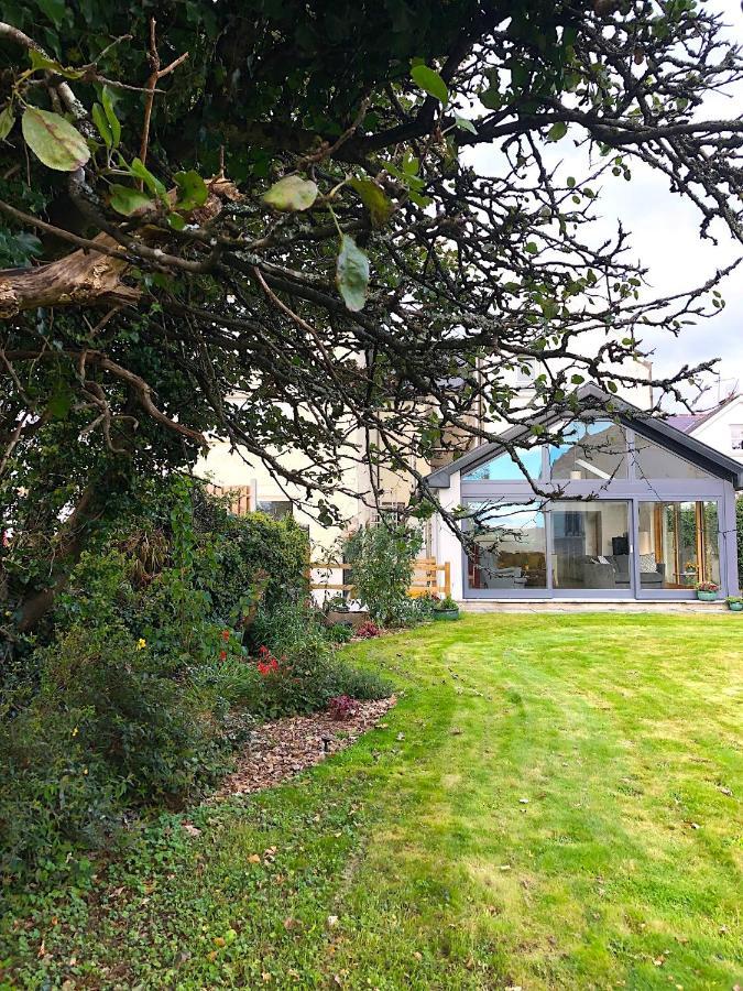 Dingle Garden Townhouse Bed & Breakfast ภายนอก รูปภาพ The garden of the house